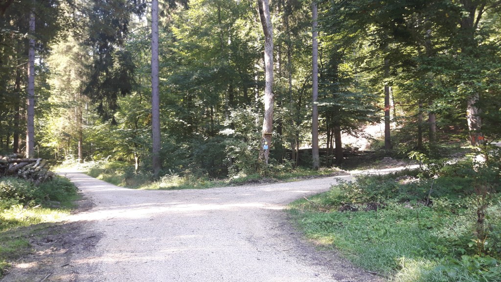 Holzwege ... und Wegmarken (c) Privat